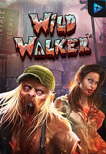 Bocoran RTP wild walker di Timur188 Generator RTP Live Slot Resmi dan Akurat